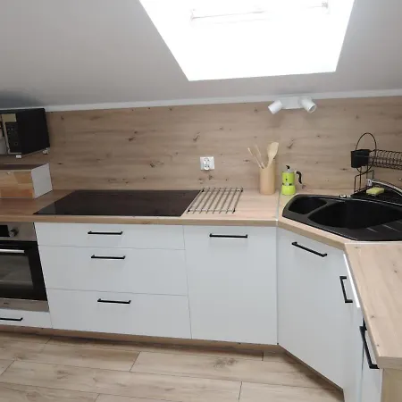 In Near Baltic アパート ミエンジボジェ